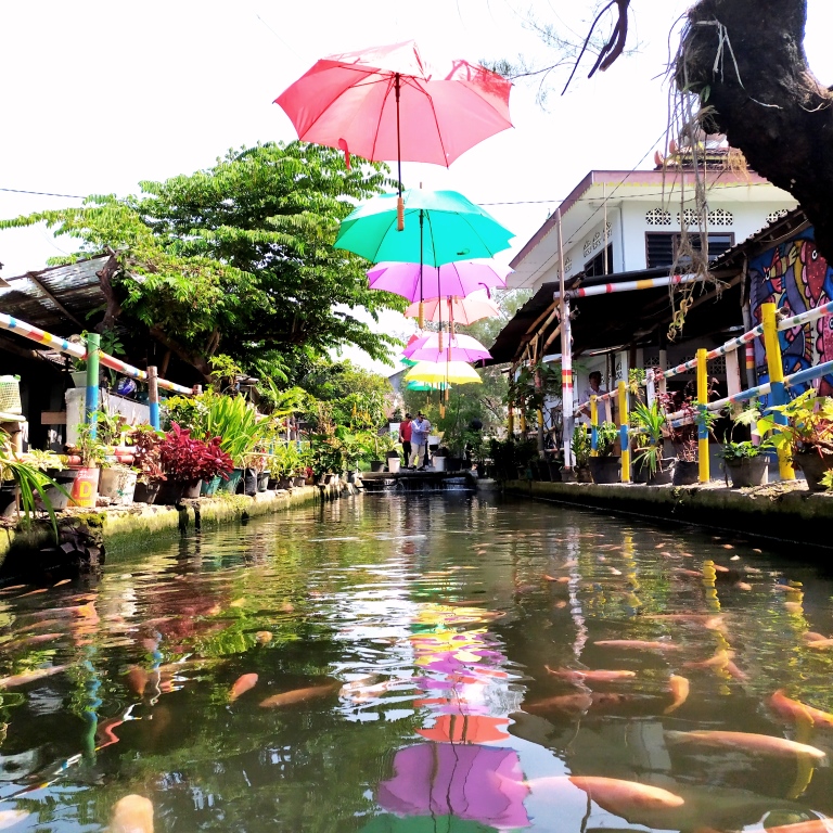tempat-wisata-dengan-sungai-jernih-penuh-ikan-seperti-di-jepang?page=all