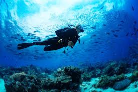 9-jenis-wisata-yang-dapat-dikembangkan-selama-pandemi-covid-19