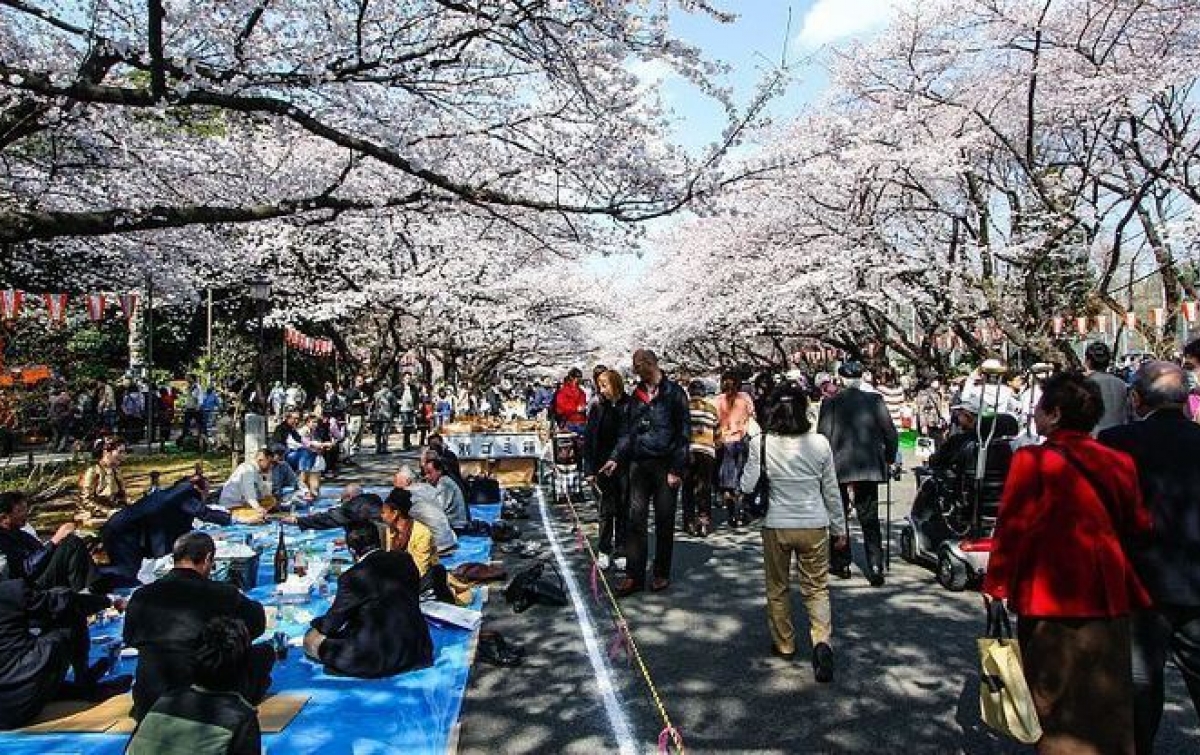 jepang-tangguhkan-insentif-perjalanan-wisata-nasional